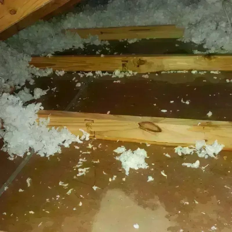 Attic Water Damage in Danbury, NC