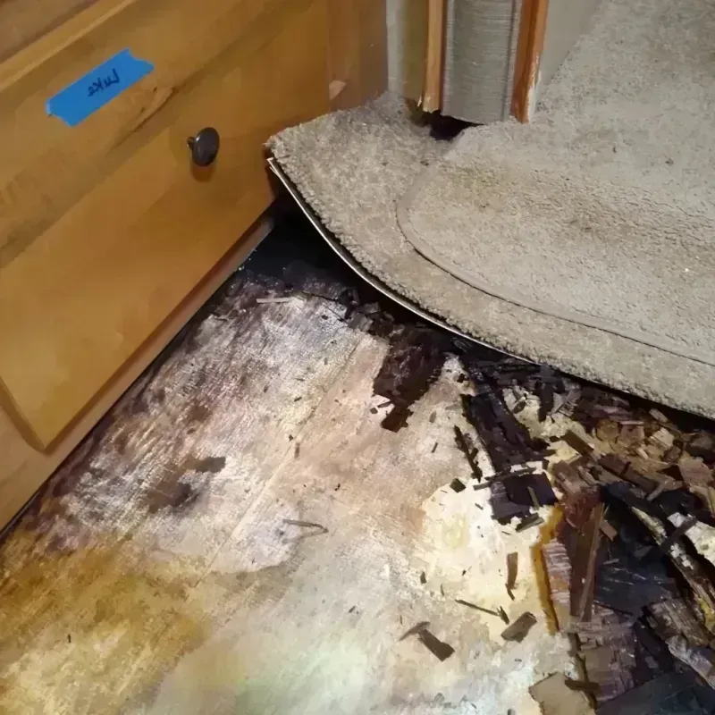 Wood Floor Water Damage in Danbury, NC